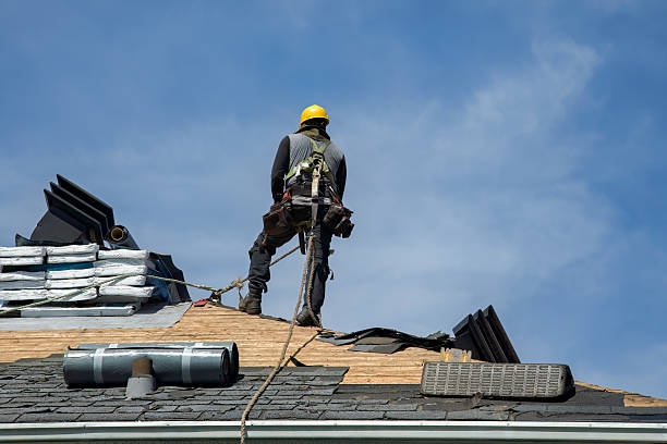 Professional Roof Replacement technician working in Morrisonville, WI